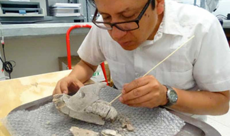 Encuentran mamut y otros restos fósiles de Edad del Hielo en San Luis Potosí