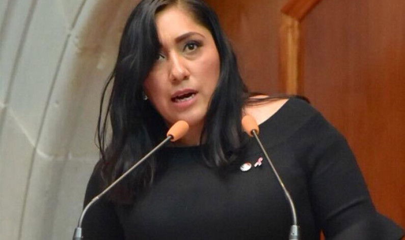 Exige diputada Liliana Gollas Trejo que Naucalpan explique incidente difundido por video en redes sociales