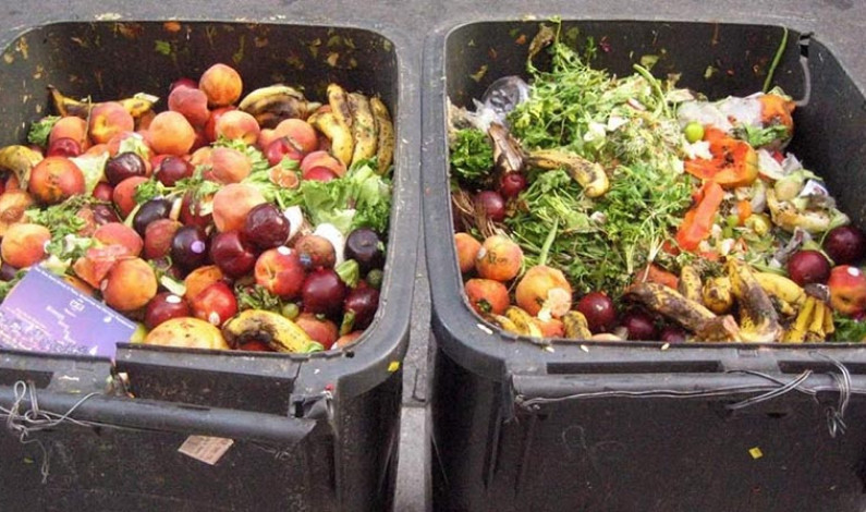 Trabaja Verde Ecologista en ley que prohíba desperdicio de alimentos