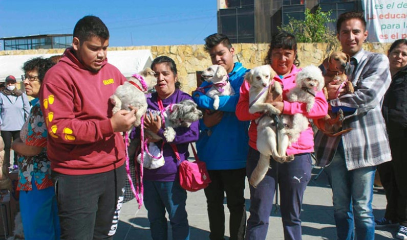 Contribuye Nicolás Romero a la tenencia responsable de animales de compañía