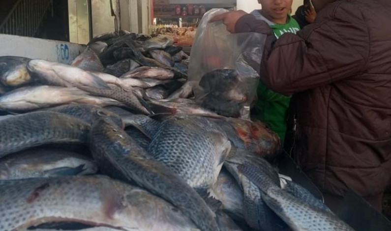 Regalarán pescados este Miércoles de Ceniza en San Luis Mextepec