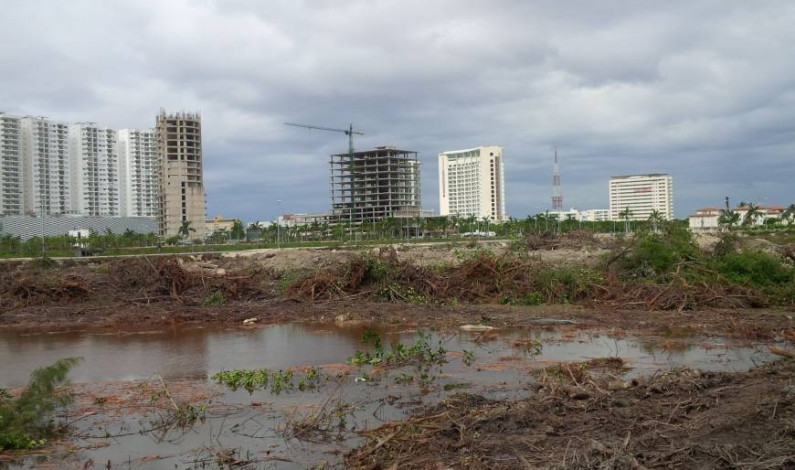 Orden judicial obliga restaurar el manglar de Tajamar en Cancún