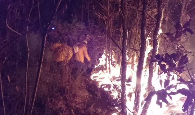 Registra Toluca 589 incendios de pastizales