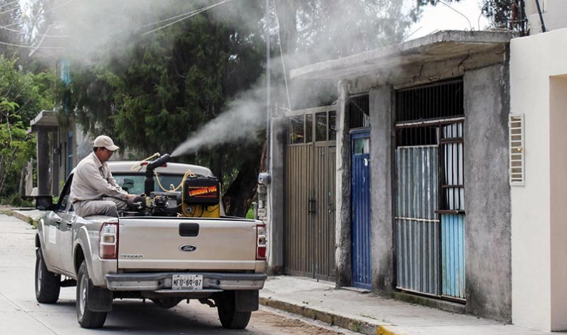 Fortalecen medidas preventivas contra dengue, zika y chikungunya