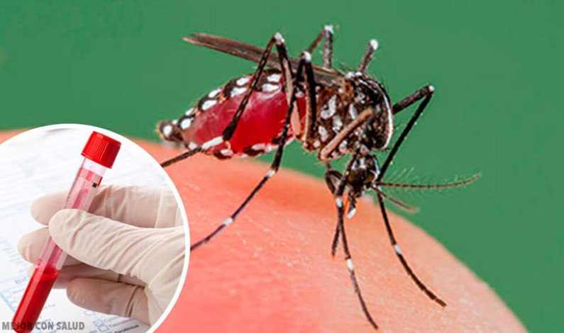 Van 3 casos positivos de Dengue en Edomex