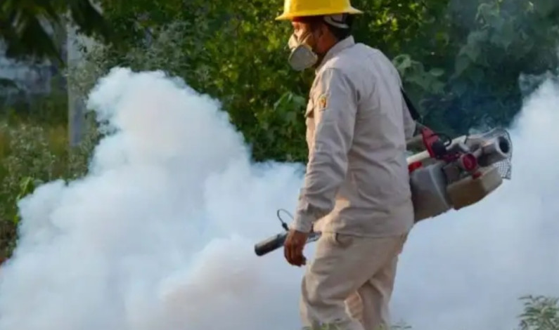 Suman cinco mil casos y 13 muertos por dengue