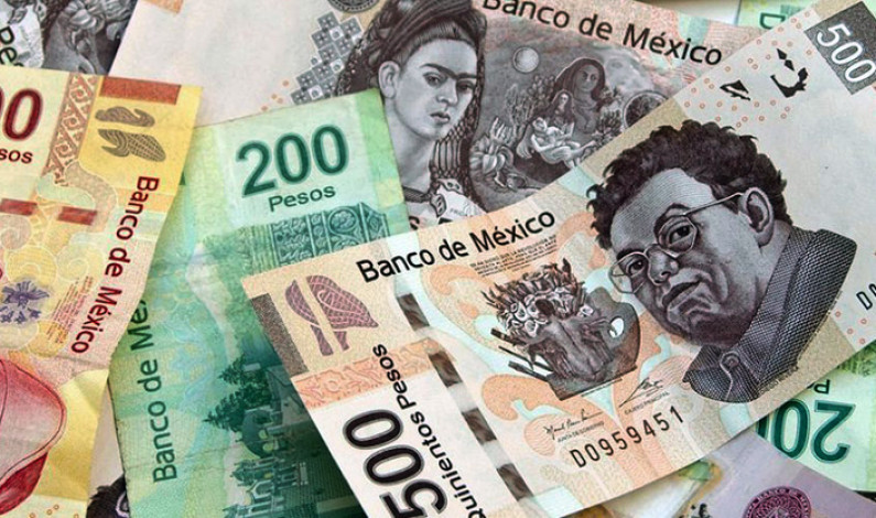 Empresas “patito” afianzan recursos de los mexiquenses