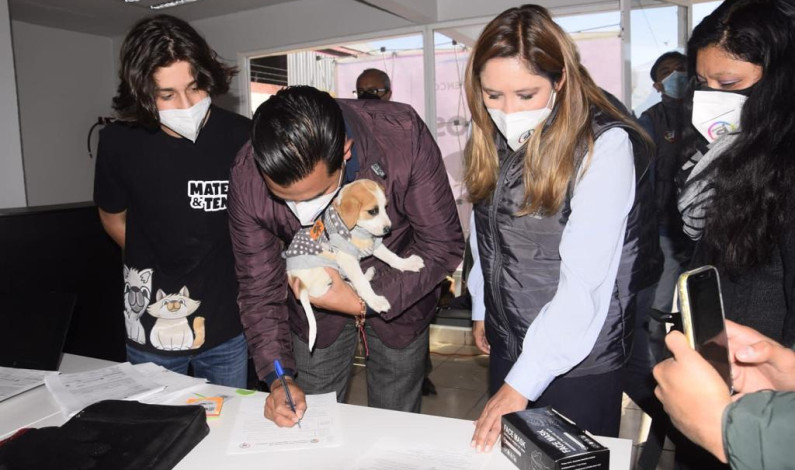 Emprende San Mateo Atenco jornadas de esterilización de animales de compañía
