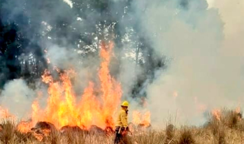 Previene Probosque incendios forestales