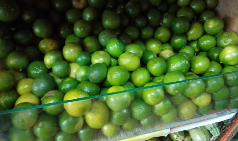 Kilo de limón de 60 a 100 pesos en Valle de Toluca