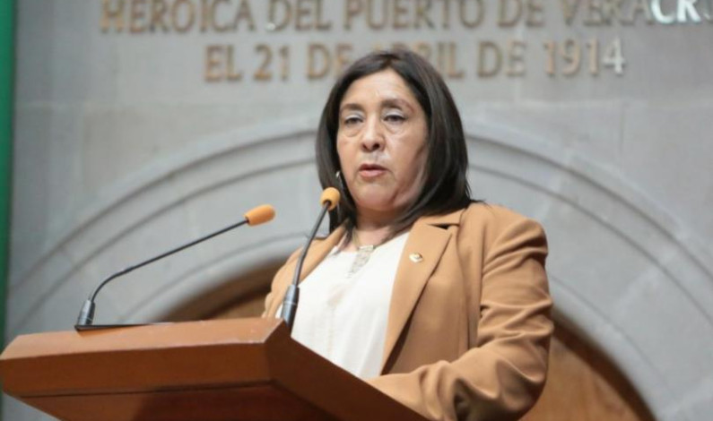 Se respira desigualdad en la Legislatura mexiquense: Elizalde