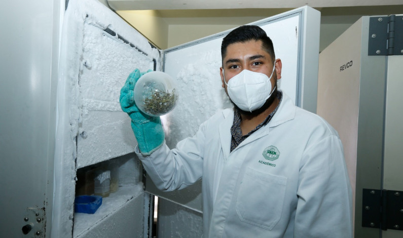 Busca UAEM cura para cáncer en plantas endémicas de México