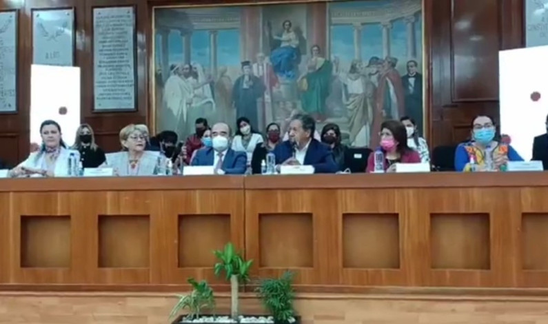 Exigen Higinio Martínez y diputados de Morena paridad de género obligatoria en elección de gobernador