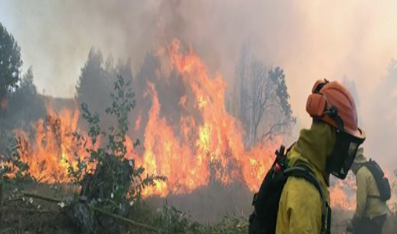 Llaman a fortalecer prevención de incendios forestales