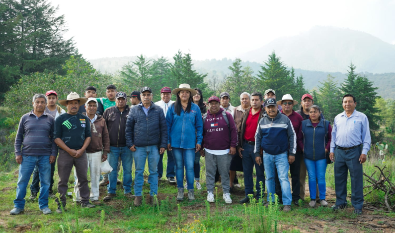 Arranca campaña de reforestación Texcoco 2023