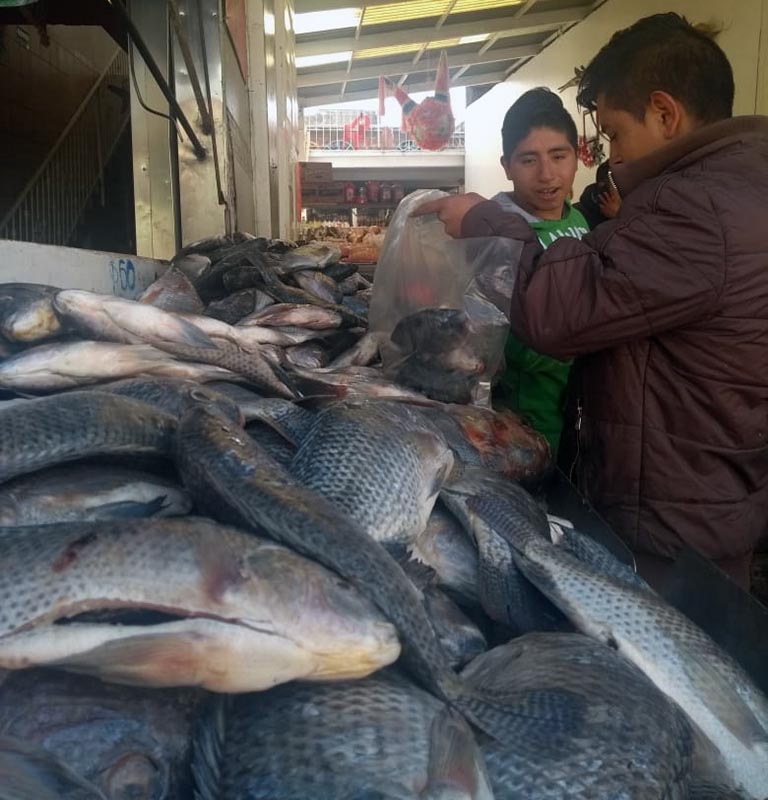 Regalarán pescados este Miércoles de Ceniza en San Luis Mextepec | Diario  Puntual